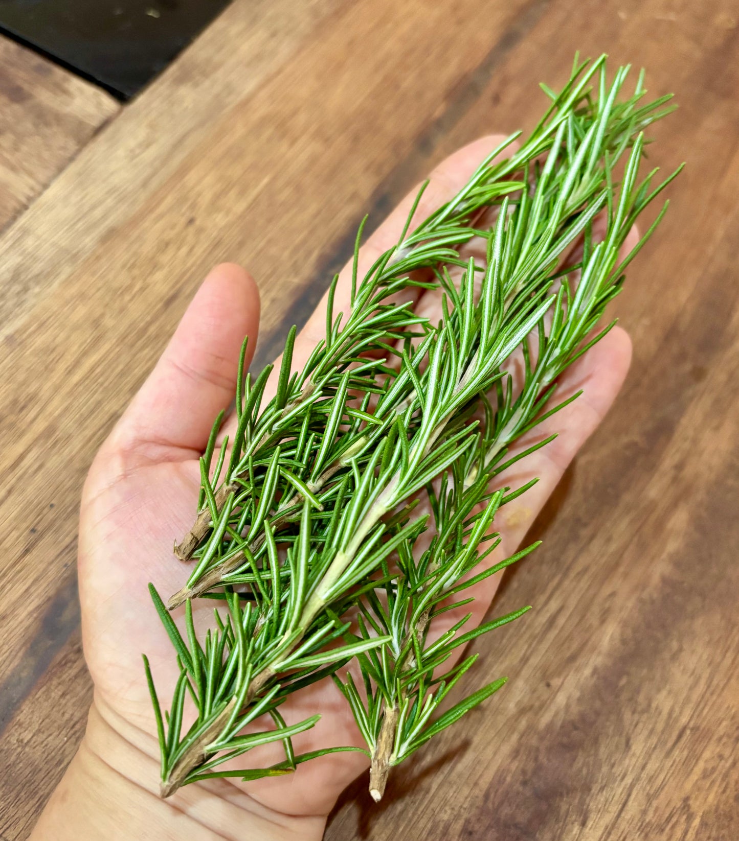 Home Grown Organic Rosemary 10g