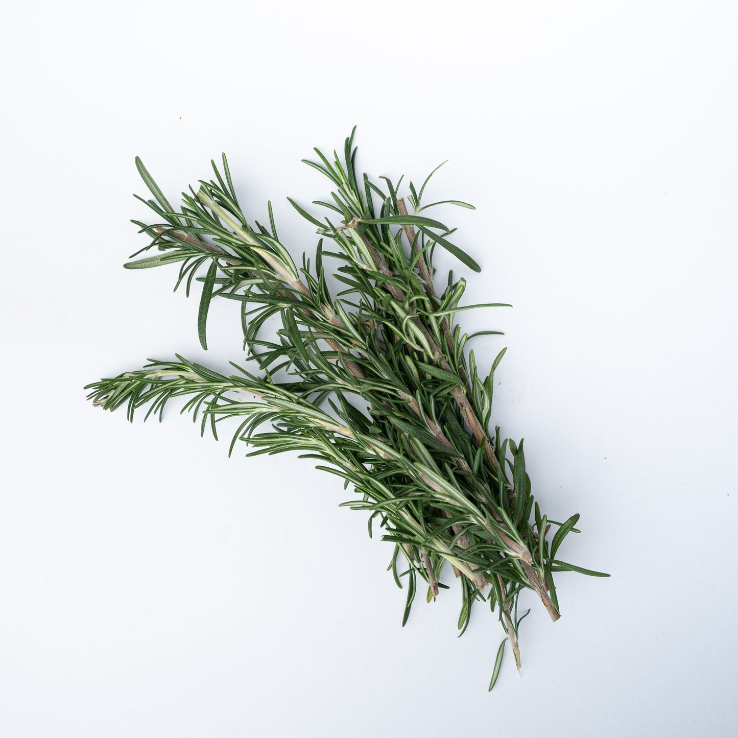 Home Grown Organic Rosemary 10g
