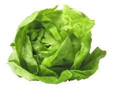 Butter Lettuce