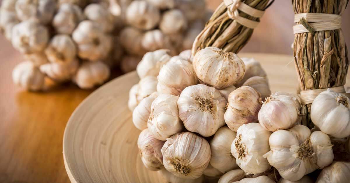 Large Garlic 300g