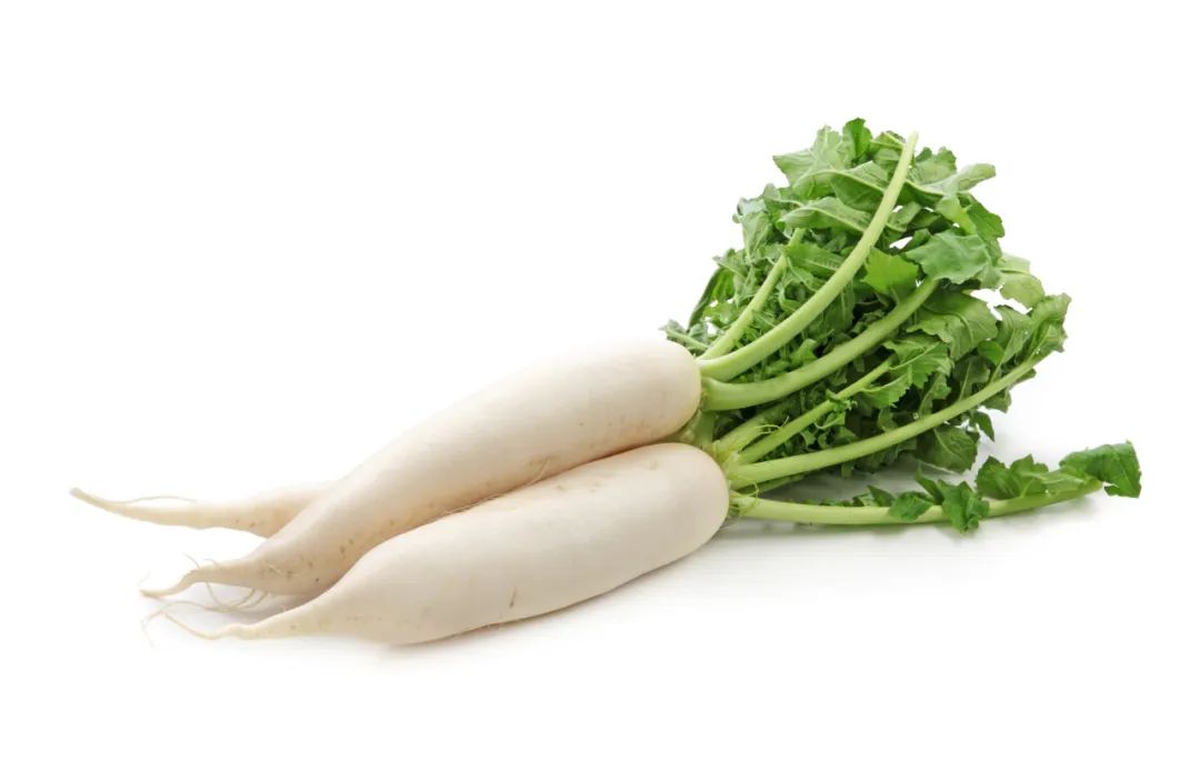 Chinese Radish