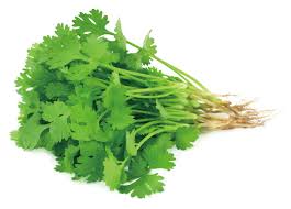 Coriander 30g