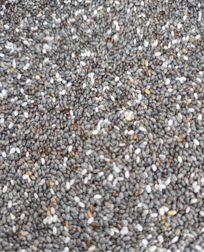 Chia Seed 100g