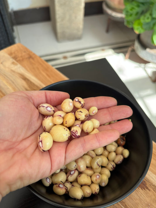 Fresh Kabaro Beans 150g
