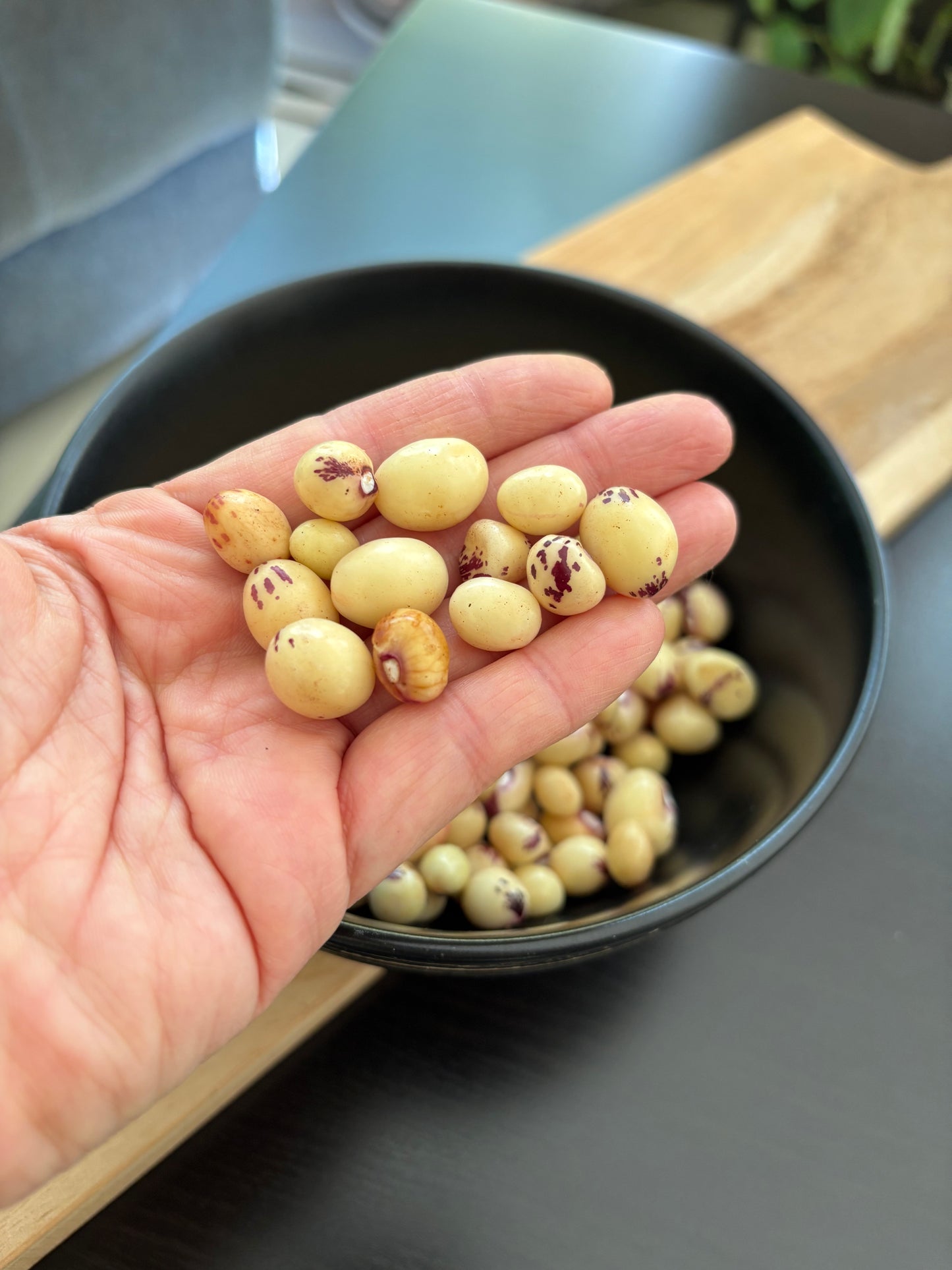 Fresh Kabaro Beans 150g