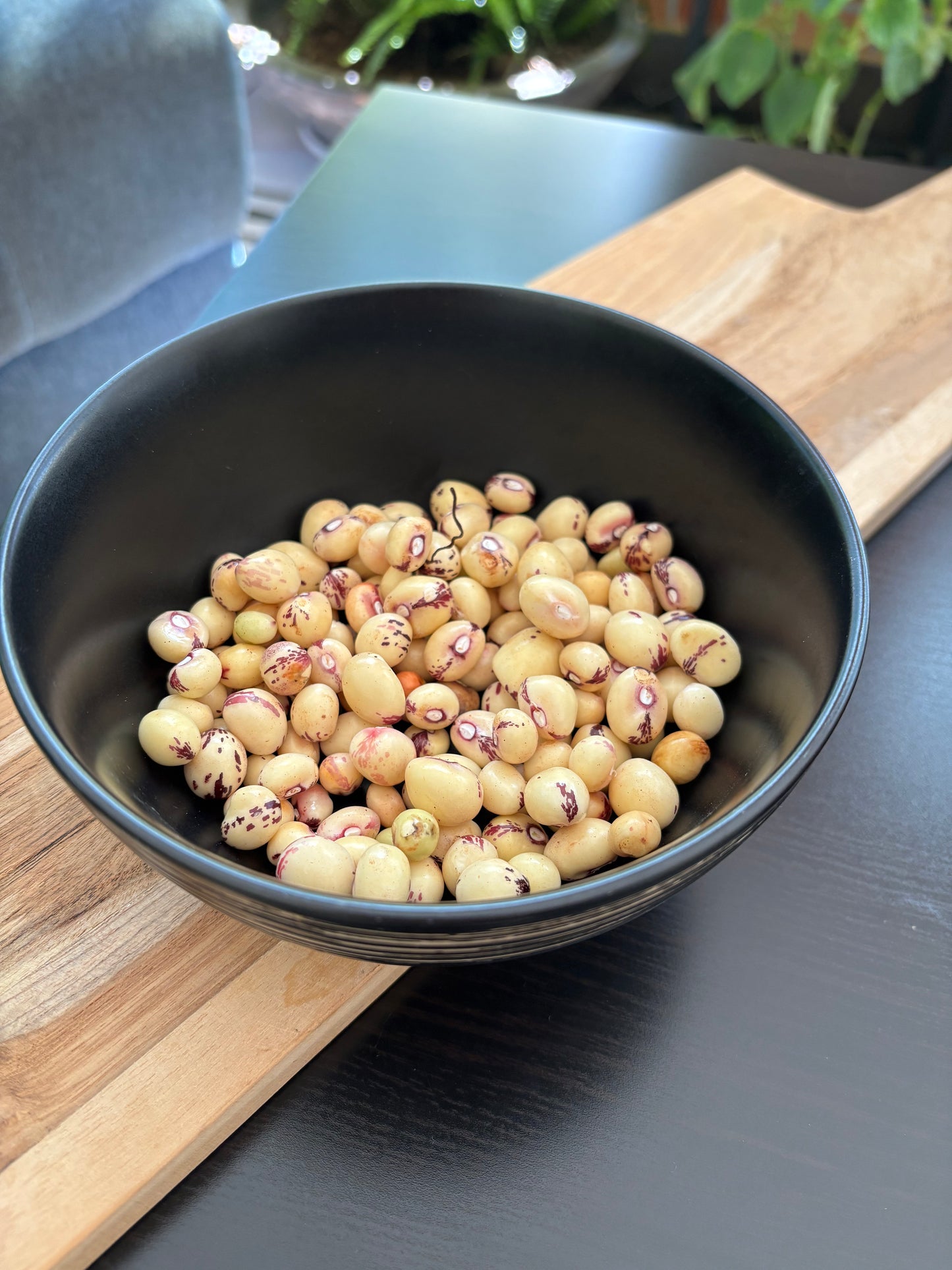 Fresh Kabaro Beans 150g