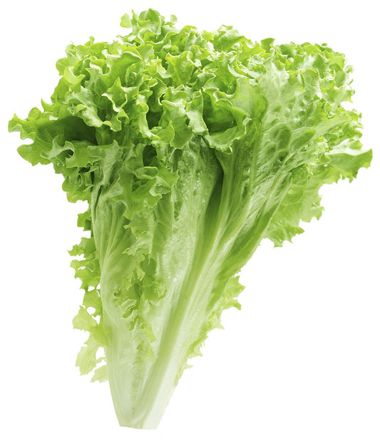 Lettuce Leafy