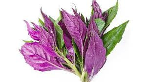 Home grown Gynura bicolor 300g
