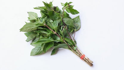 Taiwanese Basil 10g (九層塔)