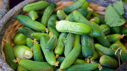 Pickling cucumber (mini cucumber) 200g