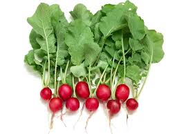 Cherry Radish 110g - 120g